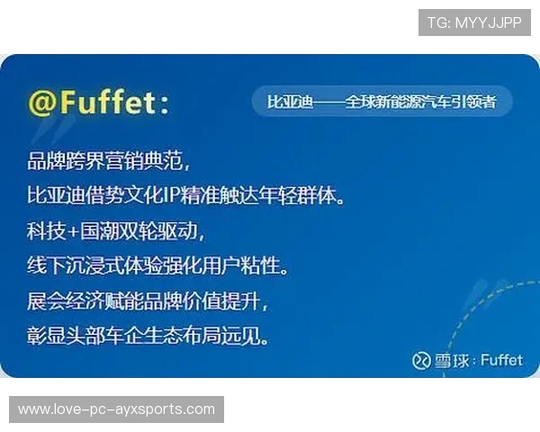 体育场馆运营品牌化提升用户黏性与体验价值